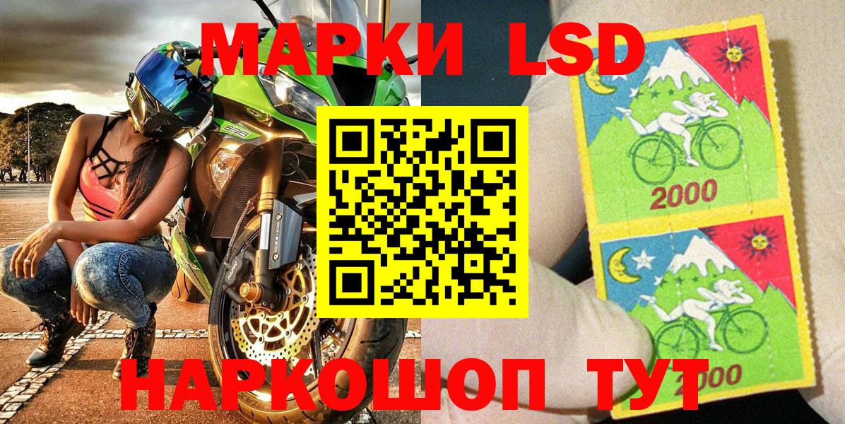Дальнегорск  Наркотические марки 1500мкг  Вход с VPN  Наркотические марки 1500мкг 