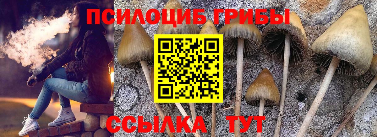 Псилоцибиновые грибы Magic Shrooms Дальнегорск