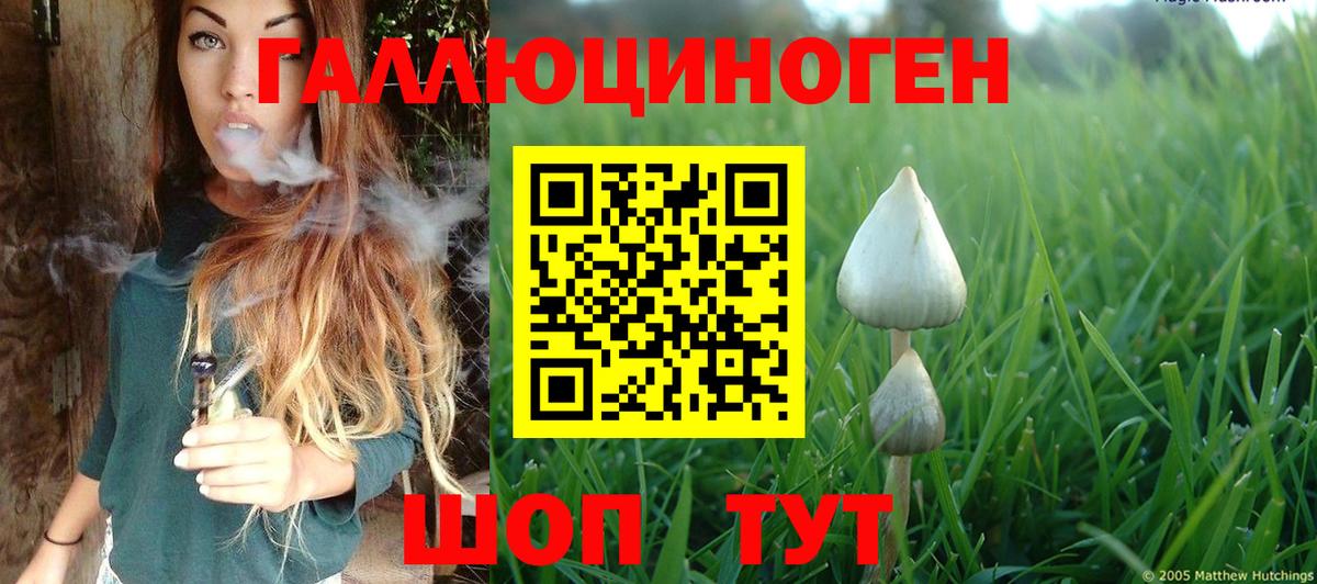 Галлюциногенные грибы ЛСД  Вход с VPN  Дальнегорск 