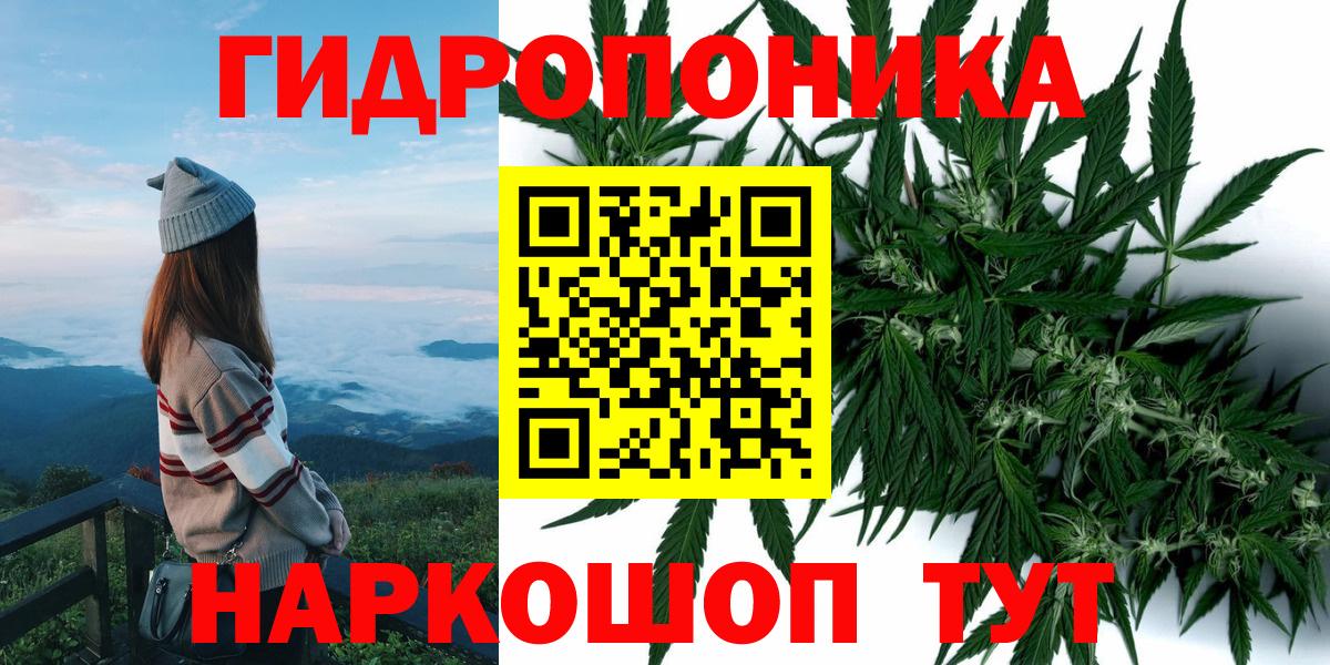 Шишки марихуана планчик Дальнегорск